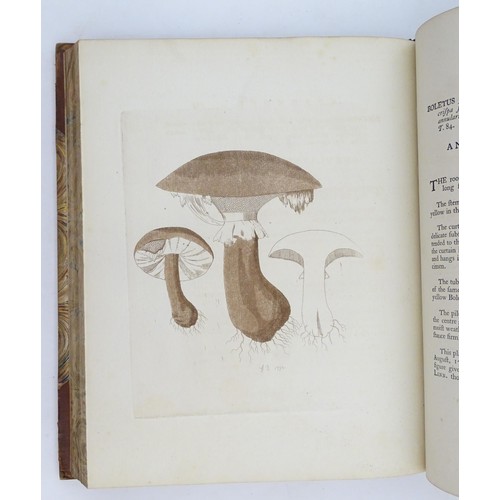 919 - Book: An History of Fungusses Growing About Halifax, by James Bolton. Published by J. Brook, 1789. V... 