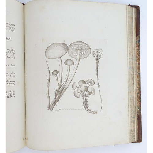 919 - Book: An History of Fungusses Growing About Halifax, by James Bolton. Published by J. Brook, 1789. V... 