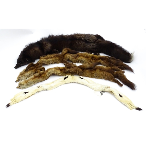 1315 - Vintage fashion / clothing: Four vintage fur stoles, the longest measuring approx. 48