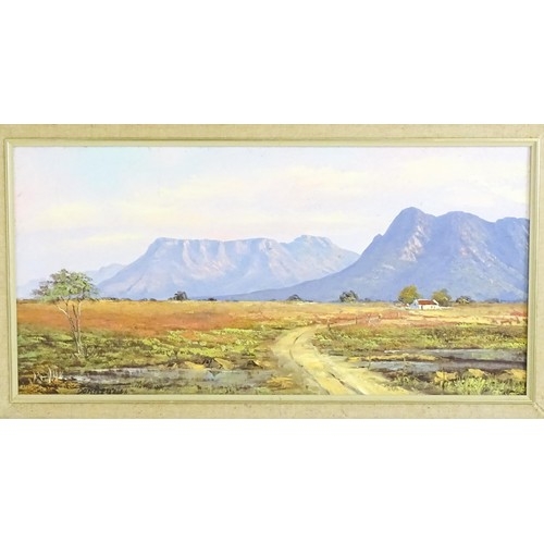 1741 - Don Benzien, 20th century, Oil on canvas, A South African landscape scene depicting Central Karoo. S... 