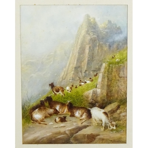 1824 - R. Thornton, Early 20th century, Watercolour, An alpine scene with goats on a hillside. Signed lower... 