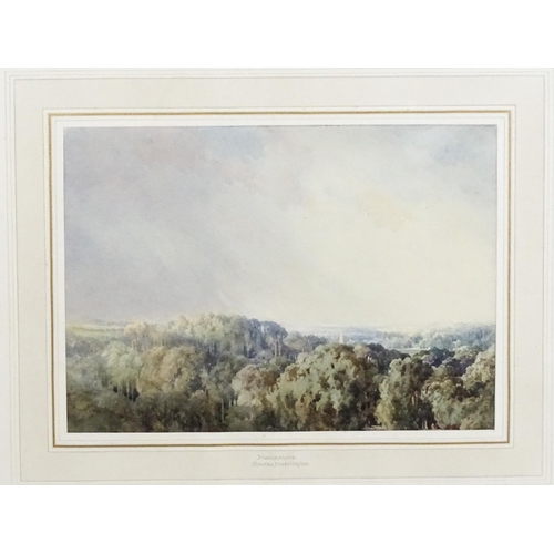 1835 - Charles Harrington (1865-1943), Topographical School, Watercolour, Hampshire, A wooded landscape wit... 