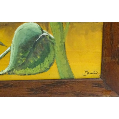 1880 - E. Tranter, 20th century, Watercolour, A Surrealist composition with lizard, moth / butterfly, hoove... 