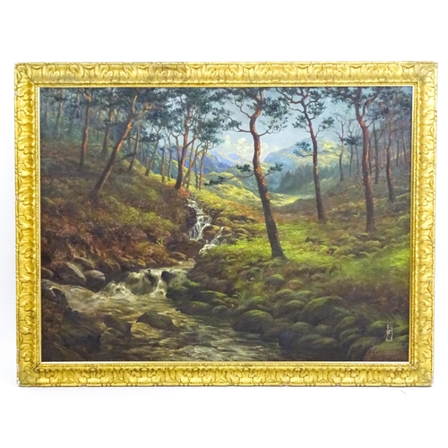 1644 - Early 20th century, Scottish School, Oil on canvas, A Highland stream in a woodland. Indistinctly si... 