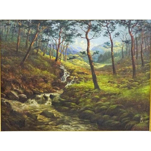 1644 - Early 20th century, Scottish School, Oil on canvas, A Highland stream in a woodland. Indistinctly si... 