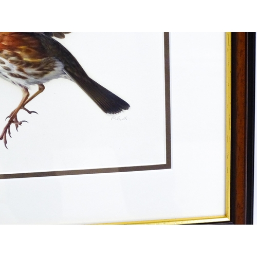 1661 - Raymond Booth (1929-2015), Ornithological School, Oil on paper, A study of a Redwing bird. Signed lo... 