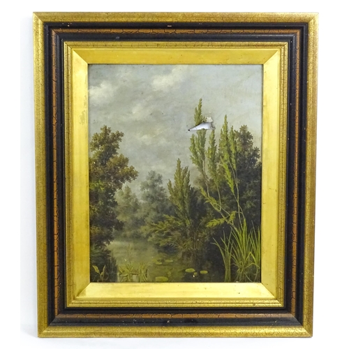 1674 - J. Stuart, Late 19th / early 20th century, Oil on canvas, A wooden river scene with lily pads and re... 