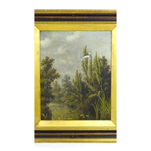 1674 - J. Stuart, Late 19th / early 20th century, Oil on canvas, A wooden river scene with lily pads and re... 