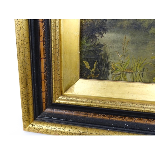 1674 - J. Stuart, Late 19th / early 20th century, Oil on canvas, A wooden river scene with lily pads and re... 