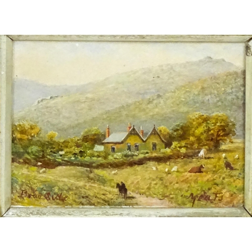 1690 - Yeats, 20th century, Scottish School, Oil on board, Braeside, A Cairngorm landscape with farm house ... 