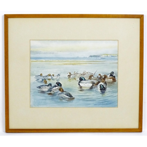 1759 - Manner of Archibald Thorburn, 20th century, Watercolour, A study of ducks. Approx. 9