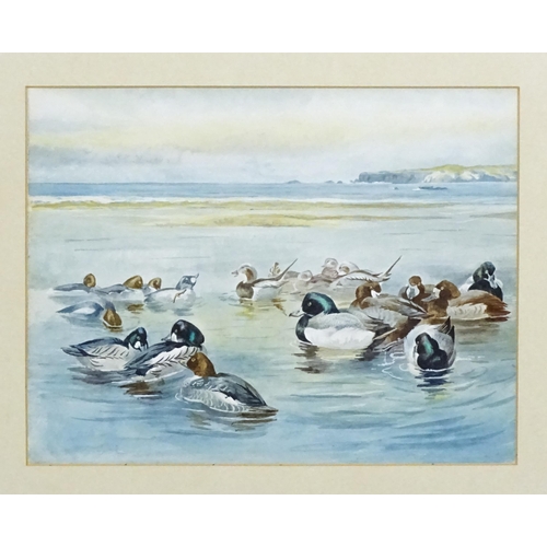 1759 - Manner of Archibald Thorburn, 20th century, Watercolour, A study of ducks. Approx. 9