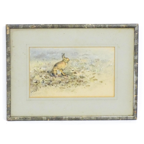 1792 - Early 19th century, Watercolour, A study of a hare. Indistinctly signed S. E. Lonor lower left. Appr... 