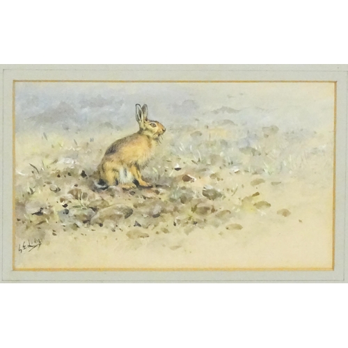 1792 - Early 19th century, Watercolour, A study of a hare. Indistinctly signed S. E. Lonor lower left. Appr... 