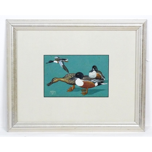 1798 - 20th century, Ornithological School, Gouache, Ducks Of Rhodesia, Common Shoveler. Signed with monogr... 