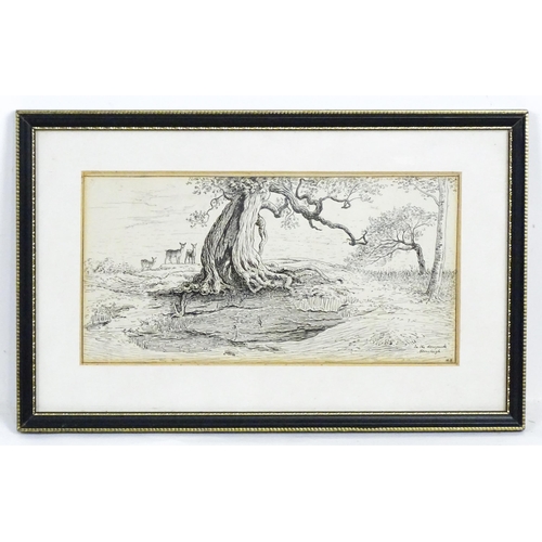 1868 - George Heywood Sumner (British 1853-1940), Pen and ink, In the Deer Park, Stoneleigh, A study of a g... 