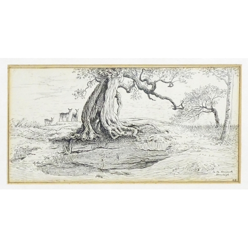 1868 - George Heywood Sumner (British 1853-1940), Pen and ink, In the Deer Park, Stoneleigh, A study of a g... 