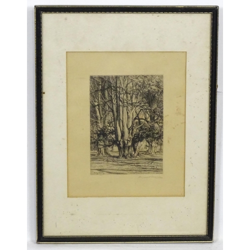 1897 - George Heywood Maunoir Sumner (1853–1940), Etching, Bushy Bratley, New Forest, Hampshire. Signed in ... 