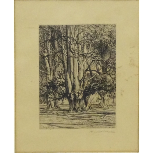 1897 - George Heywood Maunoir Sumner (1853–1940), Etching, Bushy Bratley, New Forest, Hampshire. Signed in ... 