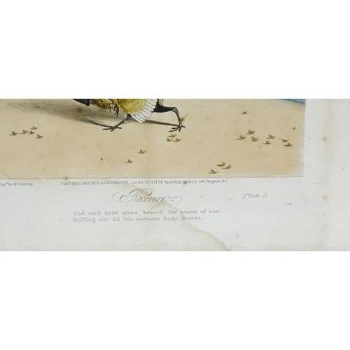 1898 - After Newton Smith Fielding (1799-1856), Aquatints with hand colouring, Stages of a Cock Fight, comp... 