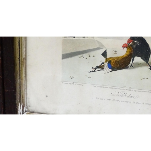 1898 - After Newton Smith Fielding (1799-1856), Aquatints with hand colouring, Stages of a Cock Fight, comp... 