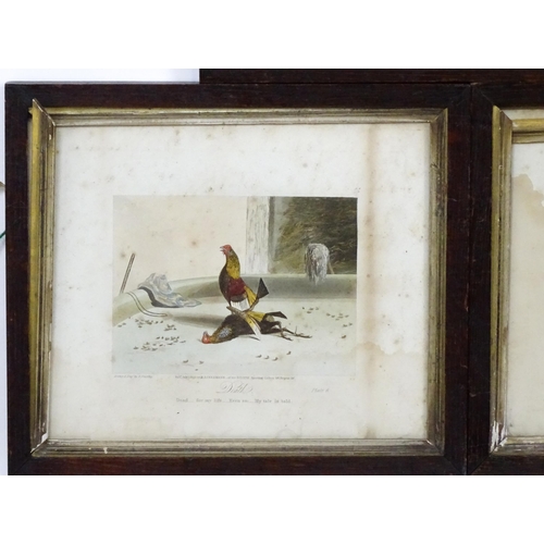 1898 - After Newton Smith Fielding (1799-1856), Aquatints with hand colouring, Stages of a Cock Fight, comp... 