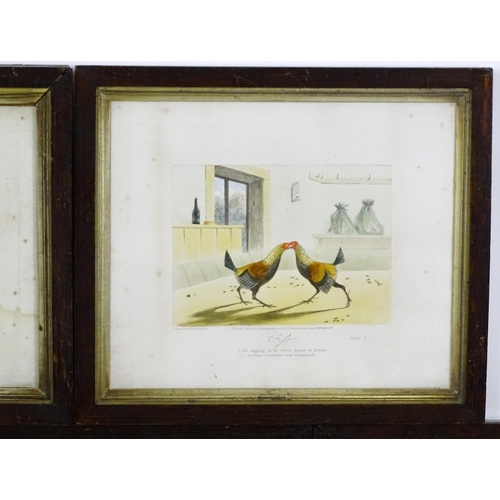 1898 - After Newton Smith Fielding (1799-1856), Aquatints with hand colouring, Stages of a Cock Fight, comp... 