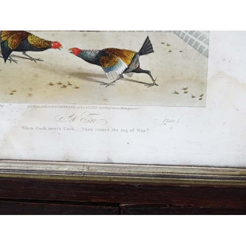 1898 - After Newton Smith Fielding (1799-1856), Aquatints with hand colouring, Stages of a Cock Fight, comp... 