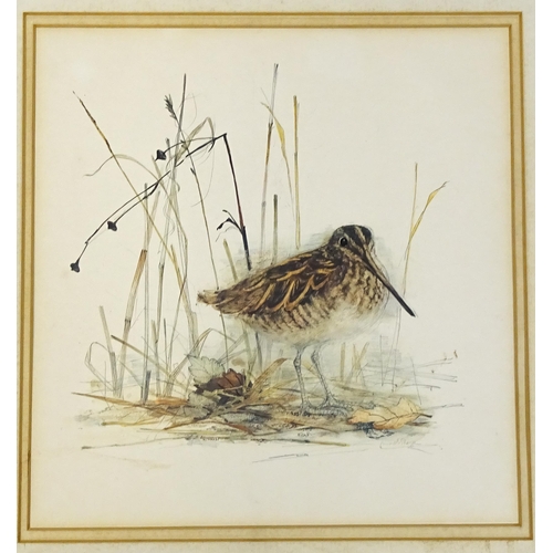 1947 - After Mads Stage (1922-2004), Danish School, Colour prints, Snipe, and Woodcock. Facsimile signature... 