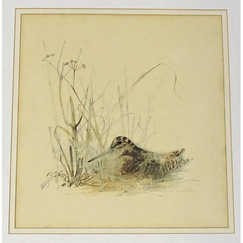 1947 - After Mads Stage (1922-2004), Danish School, Colour prints, Snipe, and Woodcock. Facsimile signature... 