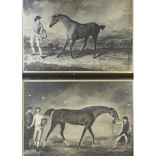 558 - Two monochrome equestrian prints after Robert Healy comprising Grey Stallion Held by a Trainer, and ... 