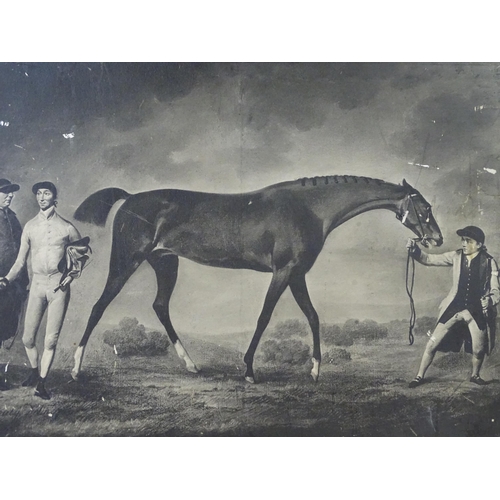 558 - Two monochrome equestrian prints after Robert Healy comprising Grey Stallion Held by a Trainer, and ... 