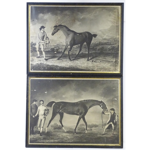 558 - Two monochrome equestrian prints after Robert Healy comprising Grey Stallion Held by a Trainer, and ... 