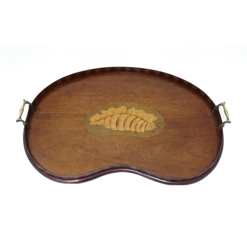 240 - A Victorian mahogany and boxwood tray, of kidney form with brass handles and inlaid shell decoration... 