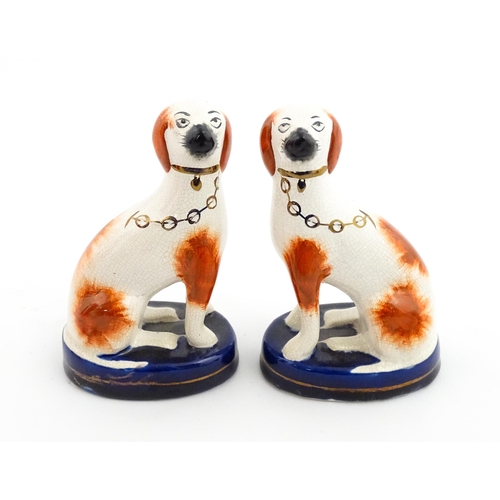 60 - A pair of Staffordshire pottery seated dogs with gilt collar and chain detail. Approx. 4 3/4