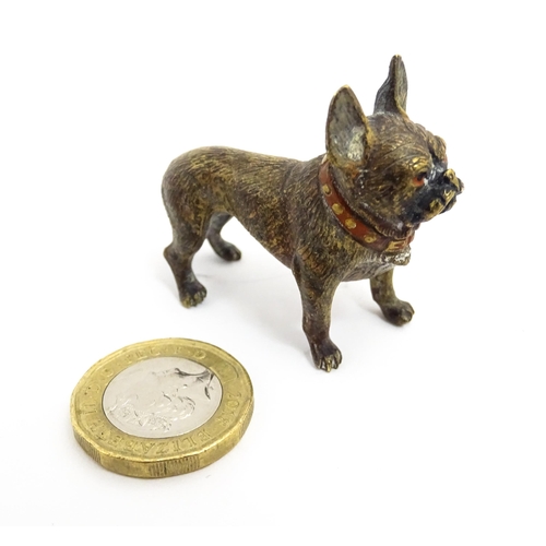 1466A - A late 19th / early 20thC cold painted bronze model of a French bulldog / Frenchie. In the manner of... 