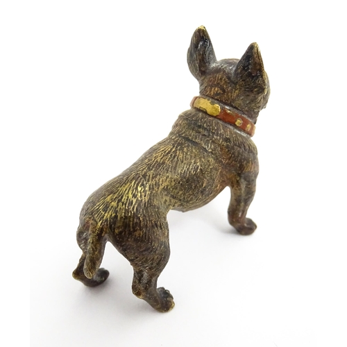 1466A - A late 19th / early 20thC cold painted bronze model of a French bulldog / Frenchie. In the manner of... 