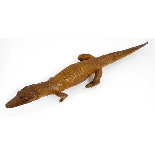 1546 - Taxidermy : a late Victorian full mount of a Caiman, approx 30