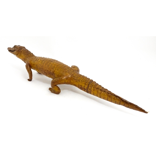 1546 - Taxidermy : a late Victorian full mount of a Caiman, approx 30