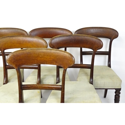 1815 - A set of six Victorian mahogany balloon back dining chairs raised on turned tapering front legs. 18