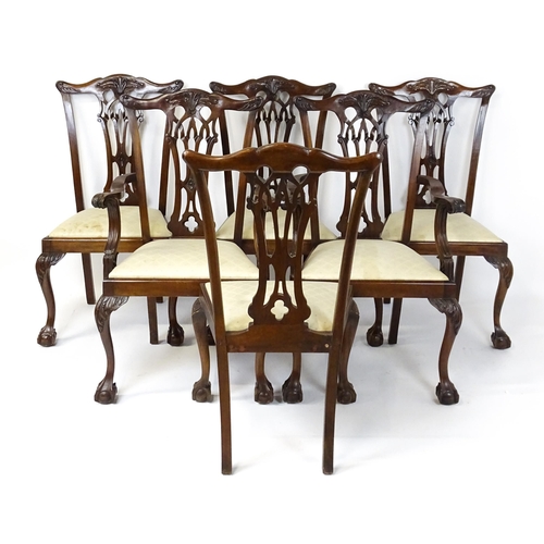 1862 - A set of 14 early / mid 20thC Chippendale style mahogany dining chairs (12+2). The chairs having car... 