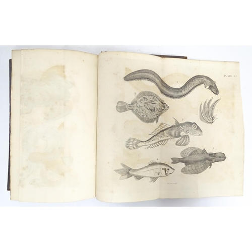 2262 - Book: Elements of Natural History, being an introduction to the Systema Naturae of Linnaeus, Volumes... 