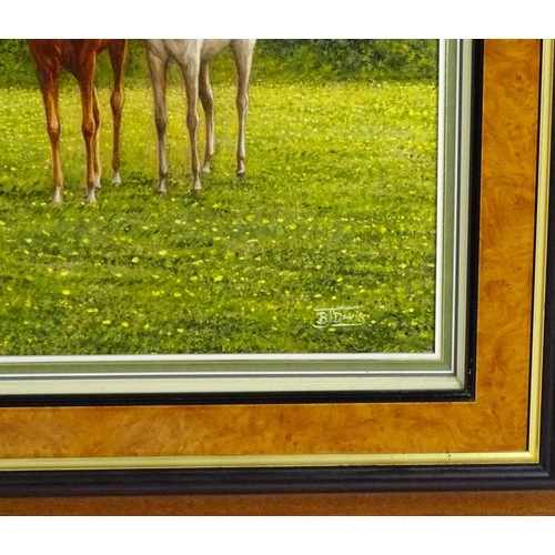 1974 - Barry Davis (b. 1961), Oil on canvas, Horses and foals in a field. Signed lower right. Approx. 19 1/... 