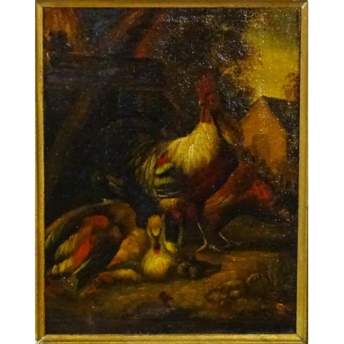 1998 - Manner of Melchior D'Hondecoeter, 20th century, Oil on canvas board, A study of a cockerel / rooster... 