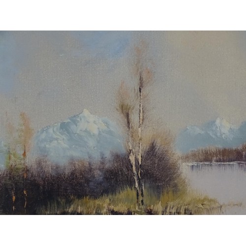 881 - Three 20thC oil on canvas paintings to include a winter river landscape signed R. Danford, an Austri... 