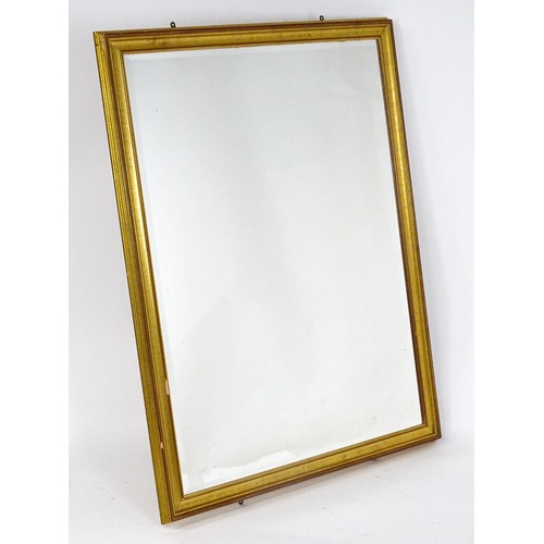 929 - Two modern gilt framed mirrors. The larger measuring 54