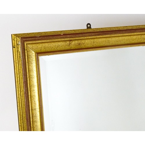 929 - Two modern gilt framed mirrors. The larger measuring 54