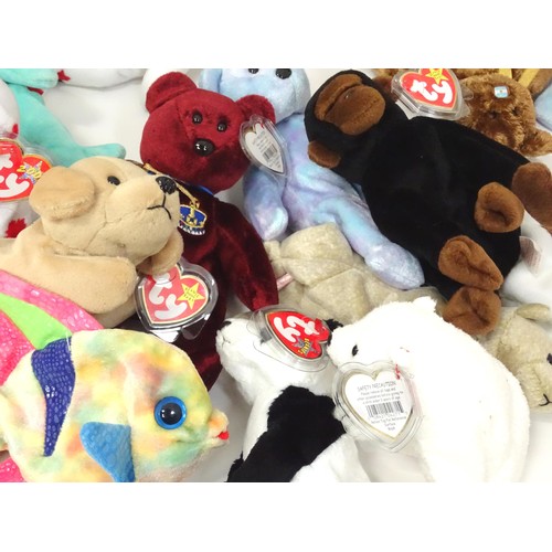 937 - Toys: A quantity of TY Beanie Babies etc. Beanie Babies to include: Flitter the Butterfly, Glow the ... 