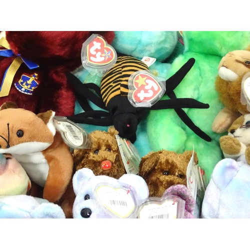 938 - Toys: A quantity of TY Beanie Babies etc. Beanie Babies to include: Slowpoke the Sloth, Scurry the B... 