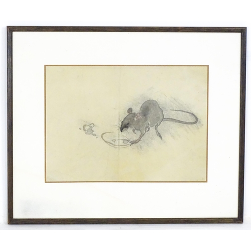 2234 - Chinese School, Watercolour and ink, A study of a rat. Approx. 9 1/4